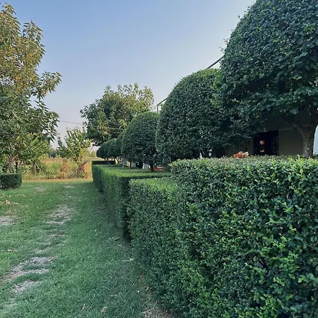 Parque de Campismo Xhani Camping&farm